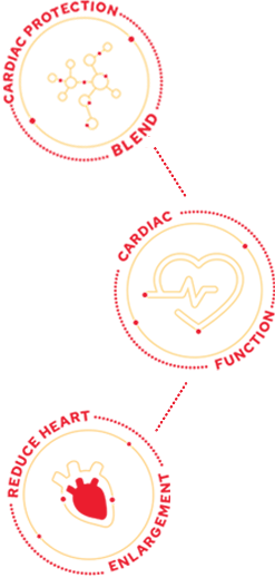 Τύπος CARDIOCARE