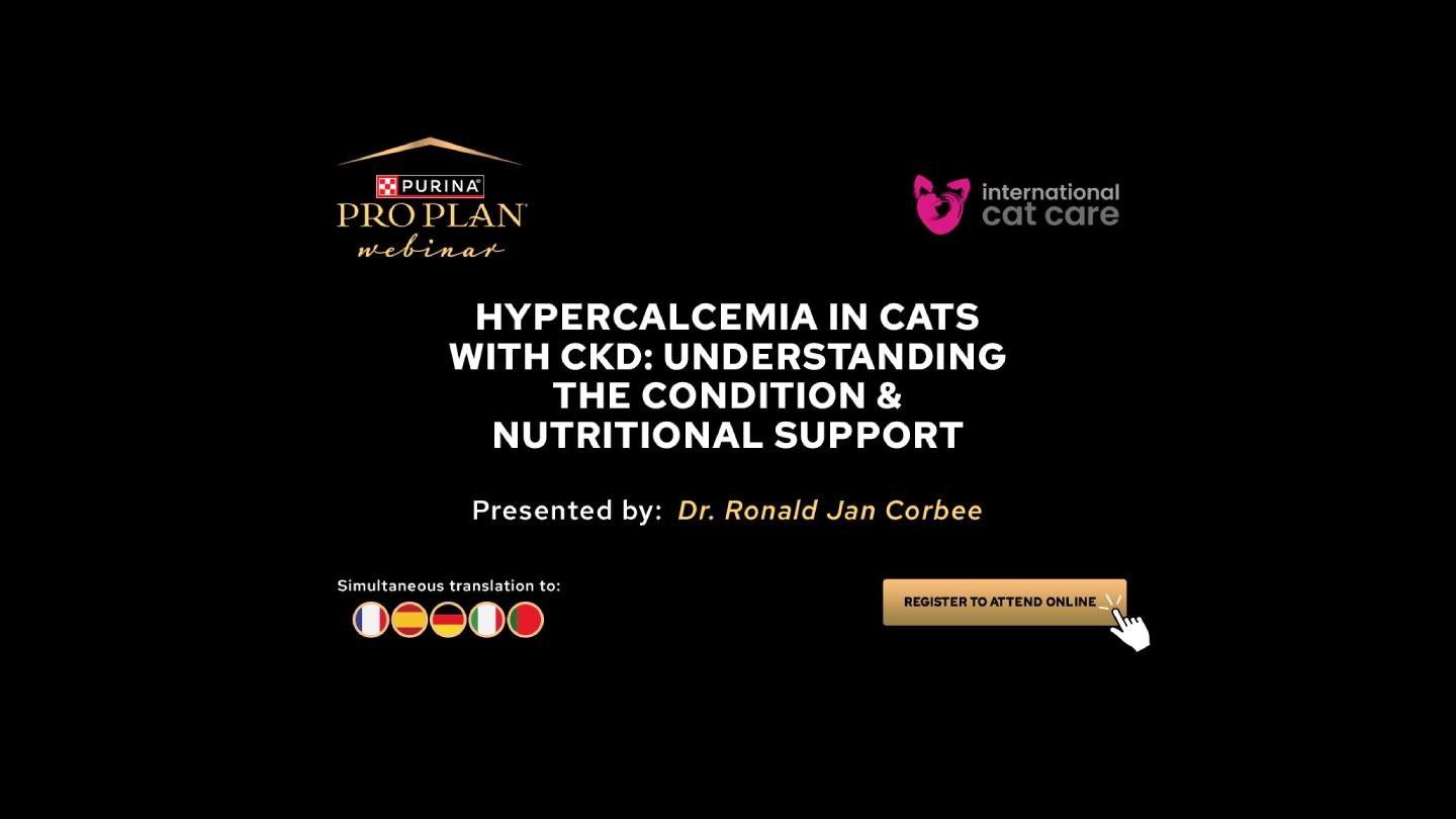 Hypercalcemia in cats with CKD: Understanding the Condition & Nutritional Support