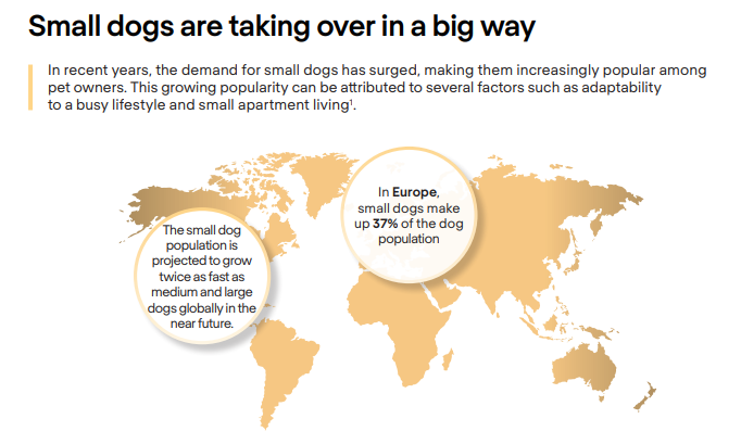 Insights from Small Dog Pet Owners