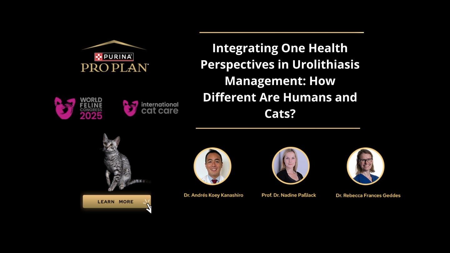 World Feline Congress 2025