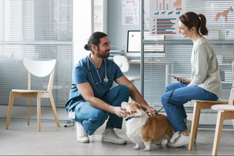 Ενεργοποίηση των πελατών σχετικά με την παχυσαρκία των κατοικιδίων