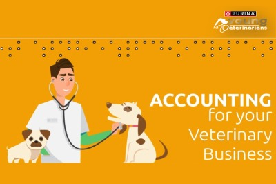 Accounting for your veterinary business
