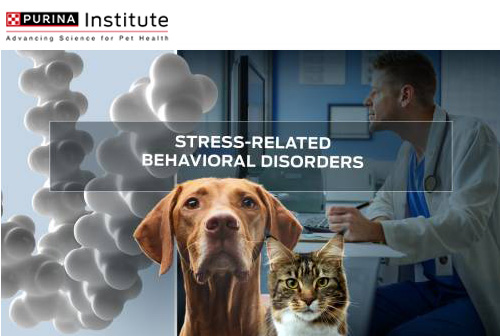 ΣΥΜΠΕΡΙΦΟΡΙΚΕΣ ΔΙΑΤΑΡΑΧΕΣ ΣΧΕΤΙΚΕΣ ΜΕ ΤΟ ΣΤΡΕΣ