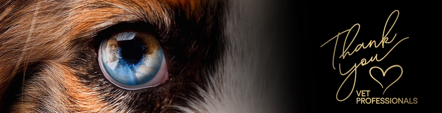 Ευχαριστούμε τους επαγγελματίες κτηνιάτρους