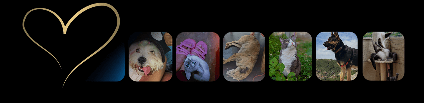 Το Ευχαριστώ μας