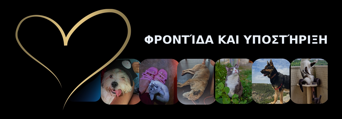 Φροντίδα και υποστήριξη