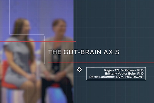 The Gut-brain Axis