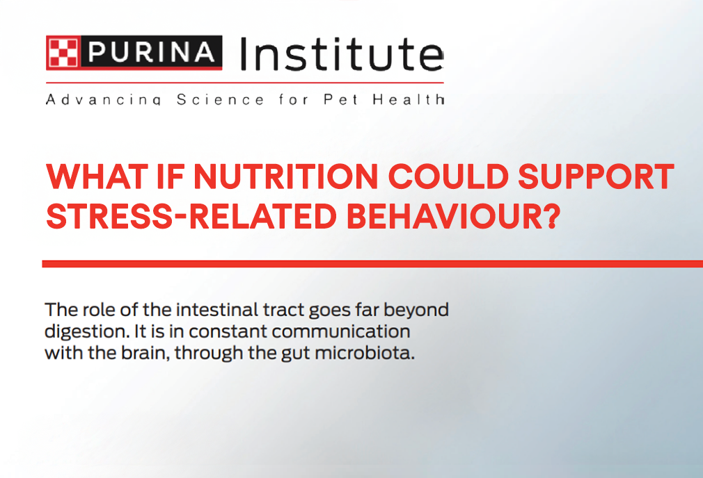 What if nutrition could support stress-related behaviour?