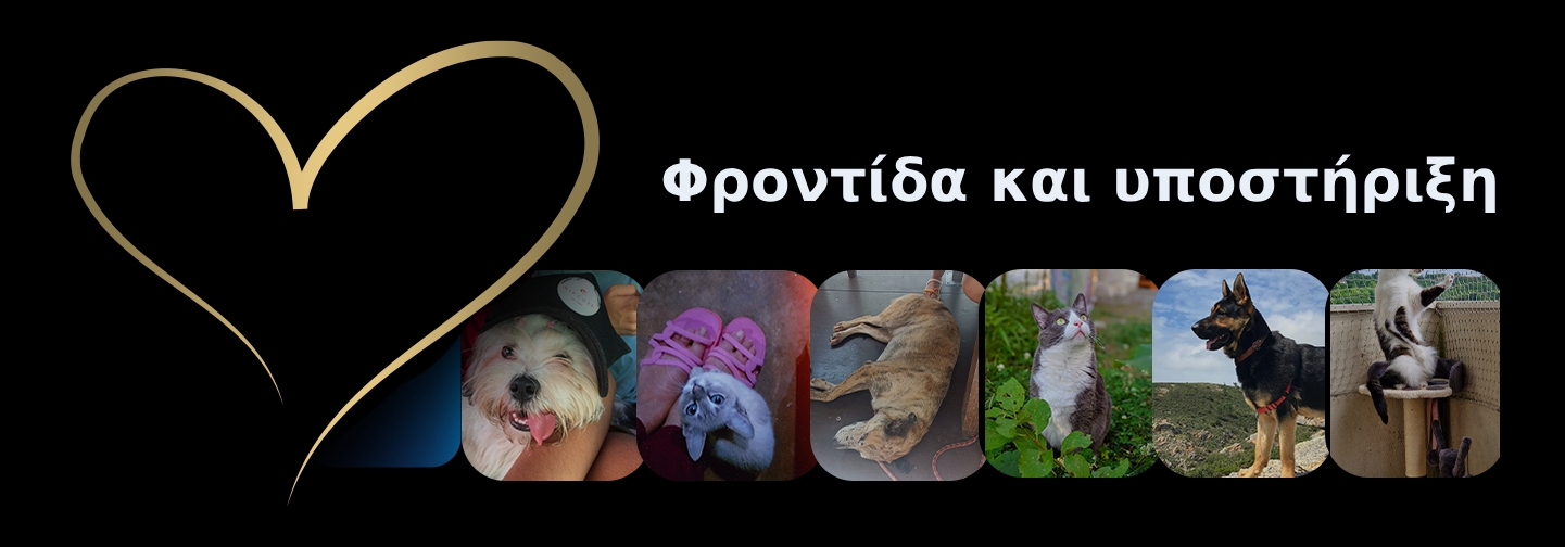 Φροντίδα και υποστήριξη