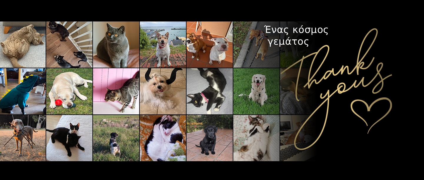 Ένας κόσμος γεμάτος “ευχαριστώ”