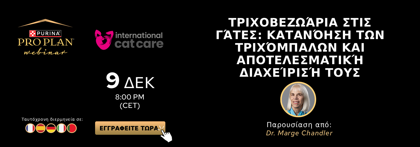 Banner με την ημερομηνία 9 Δεκεμβρίου, ώρα 8:00PM (CET), φωτογραφία ομιλητή και σημαίες γλωσσών διερμηνείας