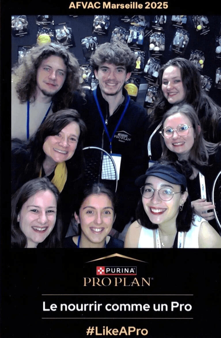 Ιστορία στο TikTok