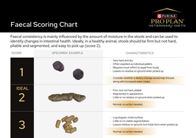 Faecal Score Chart - Mobile