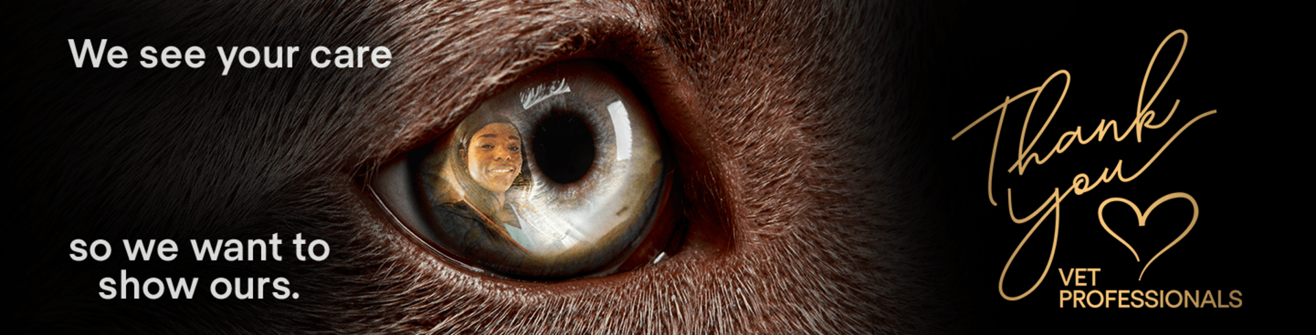 Dog's eye with a person's reflection and text related to care