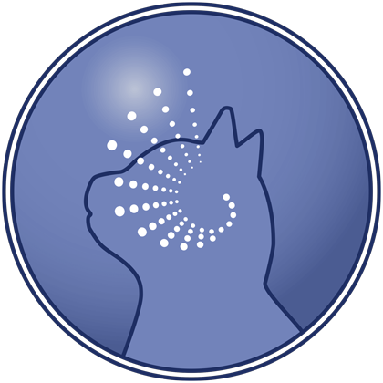 Πατενταρισμένη συνταγή που έχει αποδειχθεί ότι επεκτείνει την υγιή διάρκεια ζωής