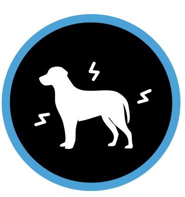 Αποδεδειγμένα βοηθά τους σκύλους να αντιμετωπίζουν εξωτερικούς στρεσογόνους παράγοντες