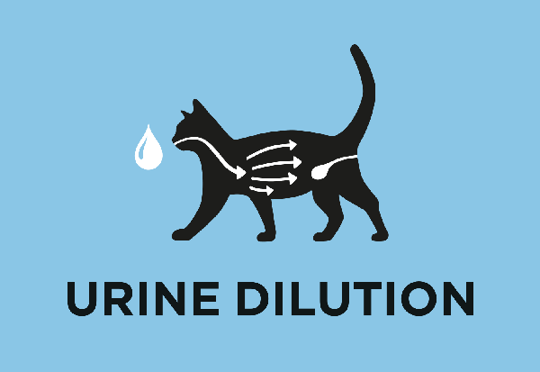 Βοηθά στην αύξηση της αραίωσης ούρων και υποστηρίζει την υγεία του ουροποιητικού