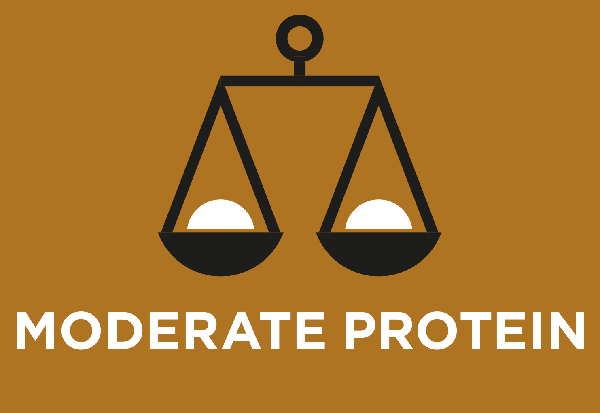 Μέτρια ποσότητα υψηλής ποιότητας πρωτεΐνης