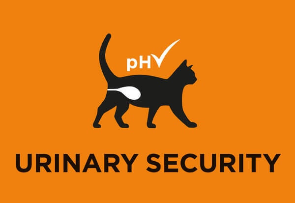 Ασφάλεια του ουροποιητικού