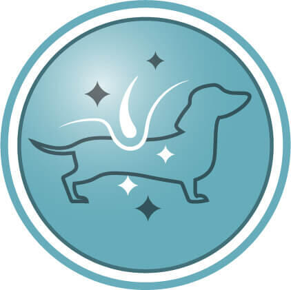 Βοηθά να κρατήσει το τρίχωμα του σκύλου σας λαμπερό