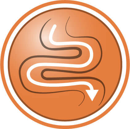 Ιδιαίτερα εύπεπτη φόρμουλα