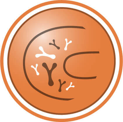 Καλύτερη ισορροπία μικροχλωρίδας του εντέρου