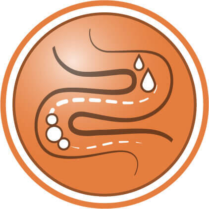 Βοηθά στη βελτίωση της ποιότητας των κοπράνων