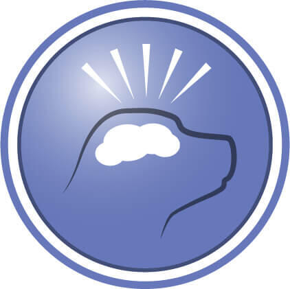 Αποδεδειγμένα βοηθά στην υποστήριξη της γνωστικής λειτουργίας και την αύξηση των επιπέδων δραστηριότητας