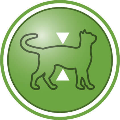 Βοηθά στη διατήρηση της άπαχης μάζας σώματος μετά την στείρωση