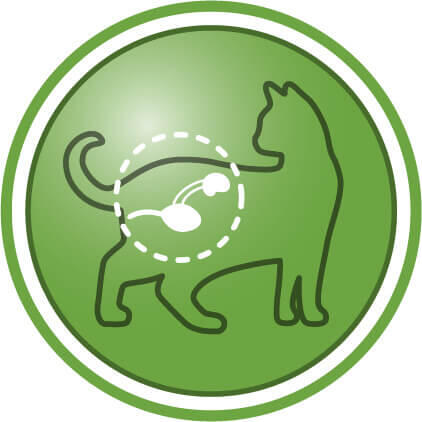 Βοηθά στη διατήρηση της υγείας του ουροποιητικού συστήματος σε στειρωμένες γάτες