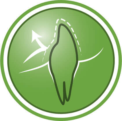 Βοηθά στην προστασία των δοντιών από την πλάκα και τη συσσώρευση πέτρας