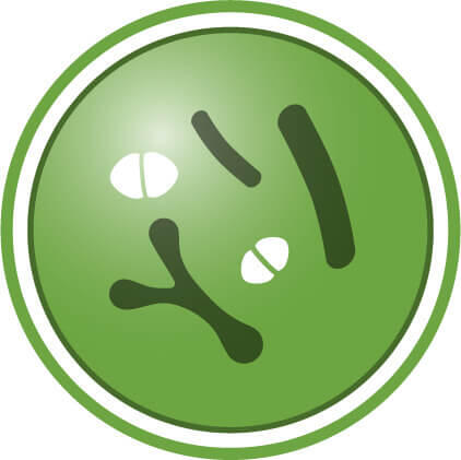 Με πρωτόγαλα