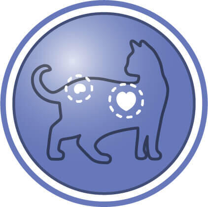 Βοηθά στην υποστήριξη βασικών ζωτικών λειτουργιών σε γάτες ηλικίας άνω των 7 ετών