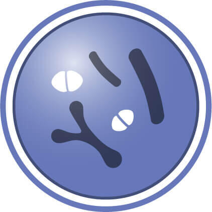 Με πρωτόγαλα