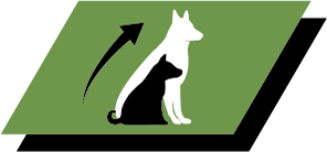 Υγιής ανάπτυξη και μακροπρόθεσμη υγεία