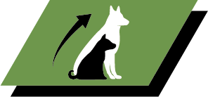 Υγιής ανάπτυξη και μακροπρόθεσμη υγεία