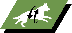 Υποστήριξη υγιών αρθρώσεων και δραστήριου τρόπου ζωής