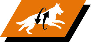 Υποστήριξη υγιών αρθρώσεων και δραστήριου τρόπου ζωής