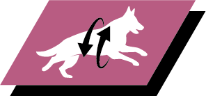 Υποστήριξη υγιών αρθρώσεων και δραστήριου τρόπου ζωής