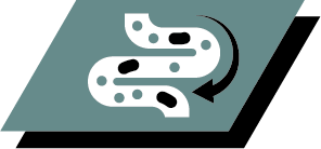 Καλύτερη ισορροπία μικροχλωρίδας του εντέρου