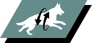 Υποστήριξη υγιών αρθρώσεων και δραστήριου τρόπου ζωής