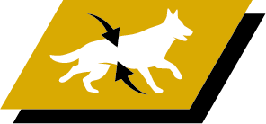 Έλεγχος βάρους