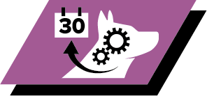 Βελτιώνει την περιέργεια και την ανταπόκριση