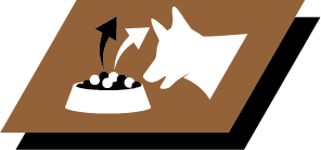 Ενθαρρύνει το σκύλο  να μασήσει