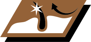 Διατηρεί τη λάμψη του τριχώματος του σκύλου σας