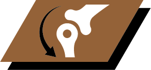 Υποστήριξη υγιών αρθρώσεων