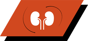 Με αργινίνη, αντιοξειδωτικά και ωμέγα-3 λιπαρά οξέα για την υποστήριξη της υγιούς νεφρικής λειτουργίας