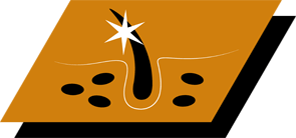 Με ωμέγα-3 & 6 λιπαρά οξέα για τη διατήρηση υγιούς δέρματος & όμορφου τριχώματος