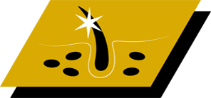 Βοηθά στη διατήρηση υγιούς δέρματος & λαμπερού τριχώματος χάρη στη βιταμίνη Α, το λινολεϊκό οξύ και τον ψευδάργυρο