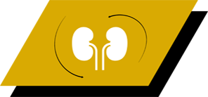 Με αργινίνη, αντιοξειδωτικά και ωμέγα-3 λιπαρά οξέα για την υποστήριξη των υγιών νεφρών